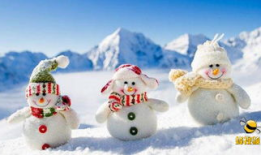 可爱雪,冬日里的温暖精灵